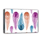 Pen Peacock Colors Colored Pattern Deluxe Canvas 18  x 12  (Stretched)