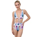 Pen Peacock Colors Colored Pattern Tied Up Two Piece Swimsuit
