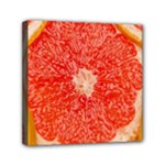 Grapefruit-fruit-background-food Mini Canvas 6  x 6  (Stretched)