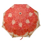 Grapefruit-fruit-background-food Folding Umbrellas