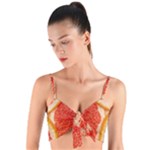 Grapefruit-fruit-background-food Woven Tie Front Bralet