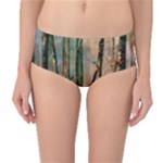 Woodland Woods Forest Trees Nature Outdoors Mist Moon Background Artwork Book Mid-Waist Bikini Bottoms