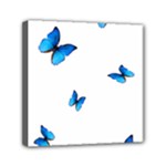 Butterfly-blue-phengaris Mini Canvas 6  x 6  (Stretched)