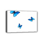 Butterfly-blue-phengaris Mini Canvas 6  x 4  (Stretched)