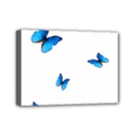 Butterfly-blue-phengaris Mini Canvas 7  x 5  (Stretched)