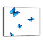 Butterfly-blue-phengaris Canvas 16  x 12  (Stretched)