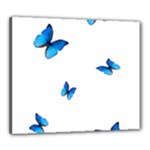 Butterfly-blue-phengaris Canvas 24  x 20  (Stretched)