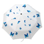 Butterfly-blue-phengaris Folding Umbrellas