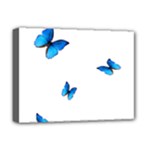 Butterfly-blue-phengaris Deluxe Canvas 16  x 12  (Stretched) 