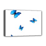 Butterfly-blue-phengaris Deluxe Canvas 18  x 12  (Stretched)