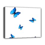 Butterfly-blue-phengaris Deluxe Canvas 20  x 16  (Stretched)