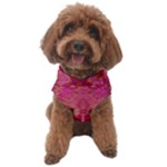 Tondo symmetry Dog Sweater