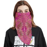 Tondo symmetry Face Covering Bandana (Triangle)