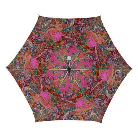 Collage  Automatic Folding Umbrella with Case (Small) from UrbanLoad.com