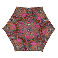 Collage  Automatic Folding Umbrella with Case (Small) from UrbanLoad.com