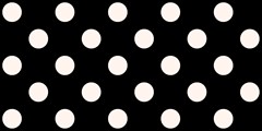 240 polka dots seashell on black 2400x1200