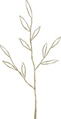 design13d