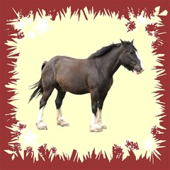 clydesdale2s