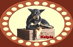 kelpie1rect