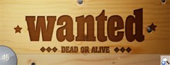 wanted bumper