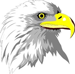 bald eagle head