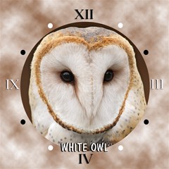 whiteowl