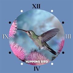 hummingbird