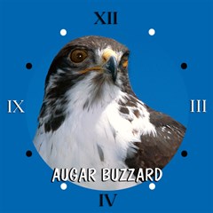 augar buzzard