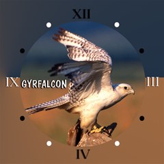 gyrfalcon