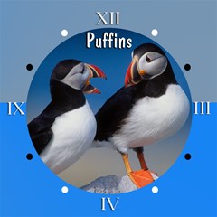 puffins