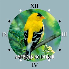 american goldfinch