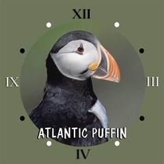 atlanticpuffin