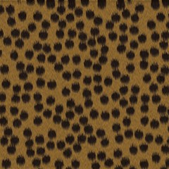 cheetah reg
