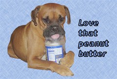 love that peanut butter