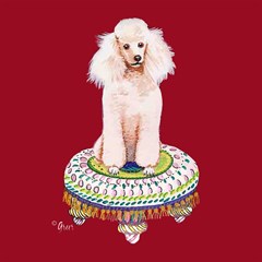 poodle on tuffet