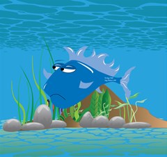 blue grumpy fish