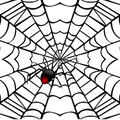 spiderweb2