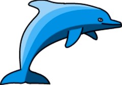 dolphin clipart