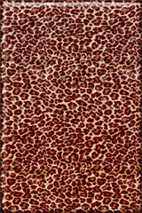 just leopard