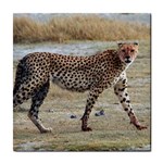 Cheetah Tile Coaster