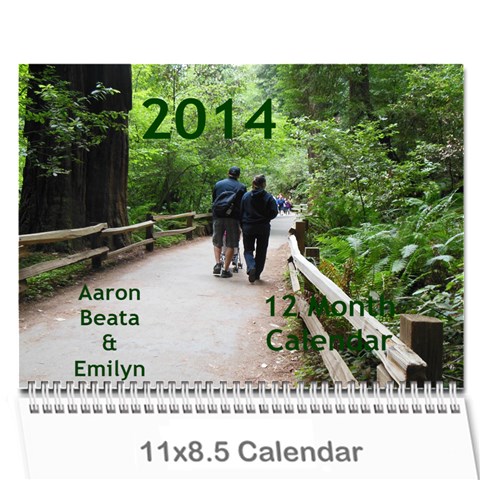 Aaron Wall Calendar 11 x 8.5 (12 Cover