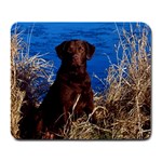 Dog and Cattails - Quality Large Dog Lovers Mouse Pad