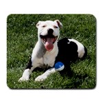Satisfied American Pit Bull Terrier - Quality Large Dog Lovers Mouse Pad