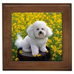 Bichon Frise - Quality Dog Lovers Framed Tile