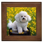 Bichon Frise - Quality Dog Lovers Framed Tile