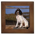 Brown and White Pointer Puppy - Quality Dog Lovers Framed Tile