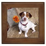 Good Dog - Jack Russell Terrier - Quality Dog Lovers Framed Tile