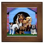 No Cats Allowed - Quality Dog Lovers Framed Tile