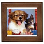 Pretty Puppy and Calico Kitten - Quality Dog Lovers Framed Tile