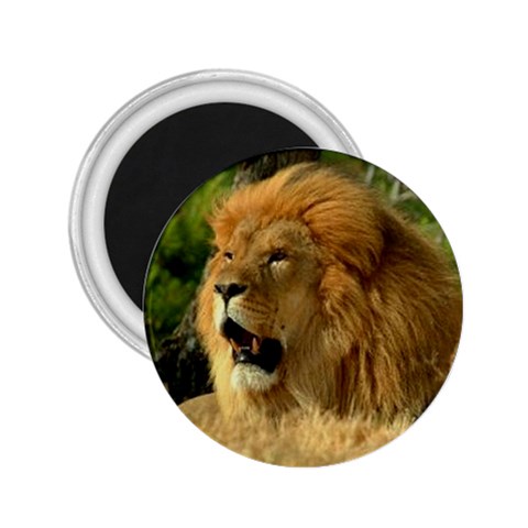 Lion 2.25  Magnet from UrbanLoad.com Front
